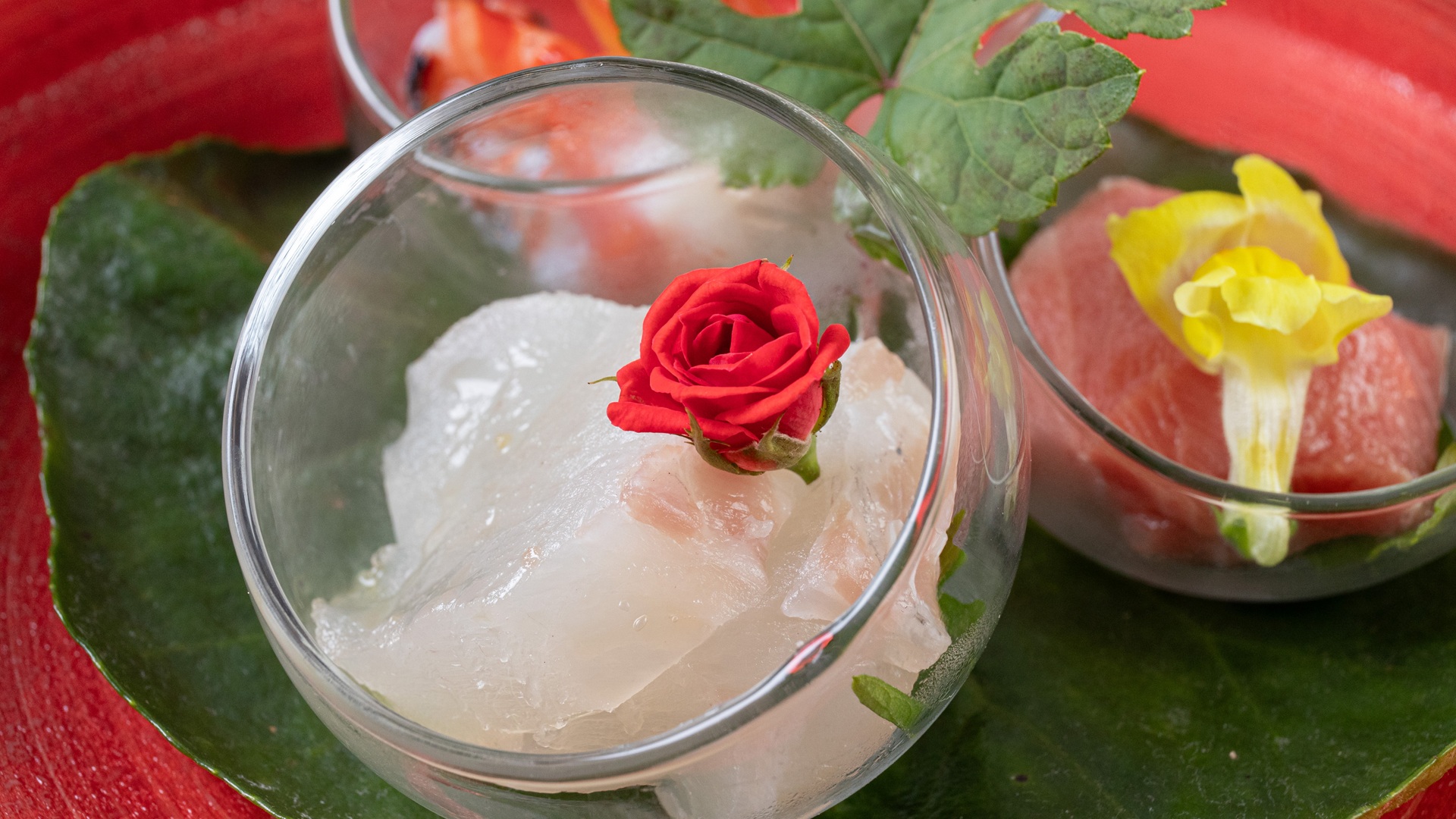 新鮮なクエを楽しむなら「クエ刺身」