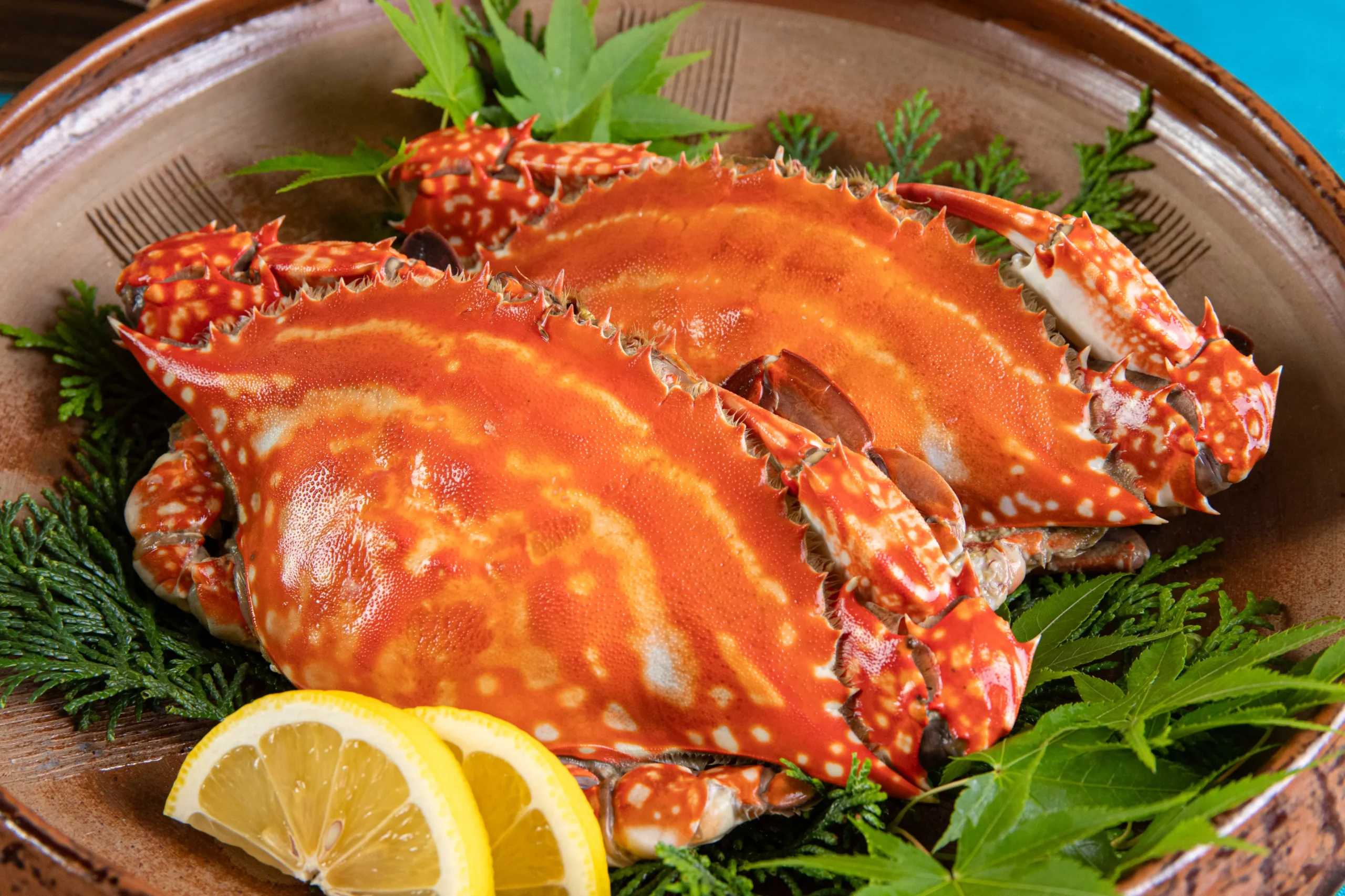 有明海産 渡り蟹 温泉酒蒸し