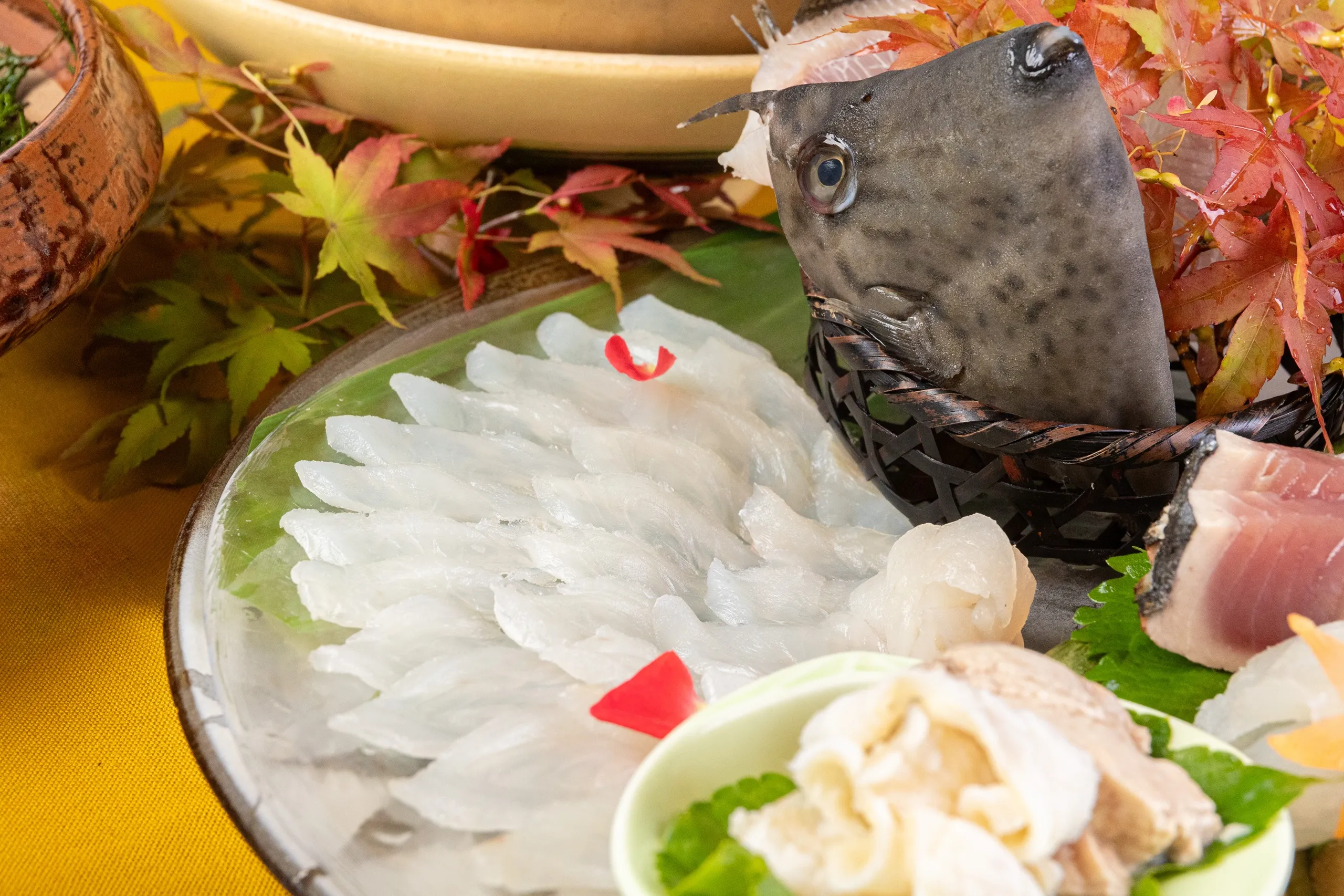 鮍薄造り