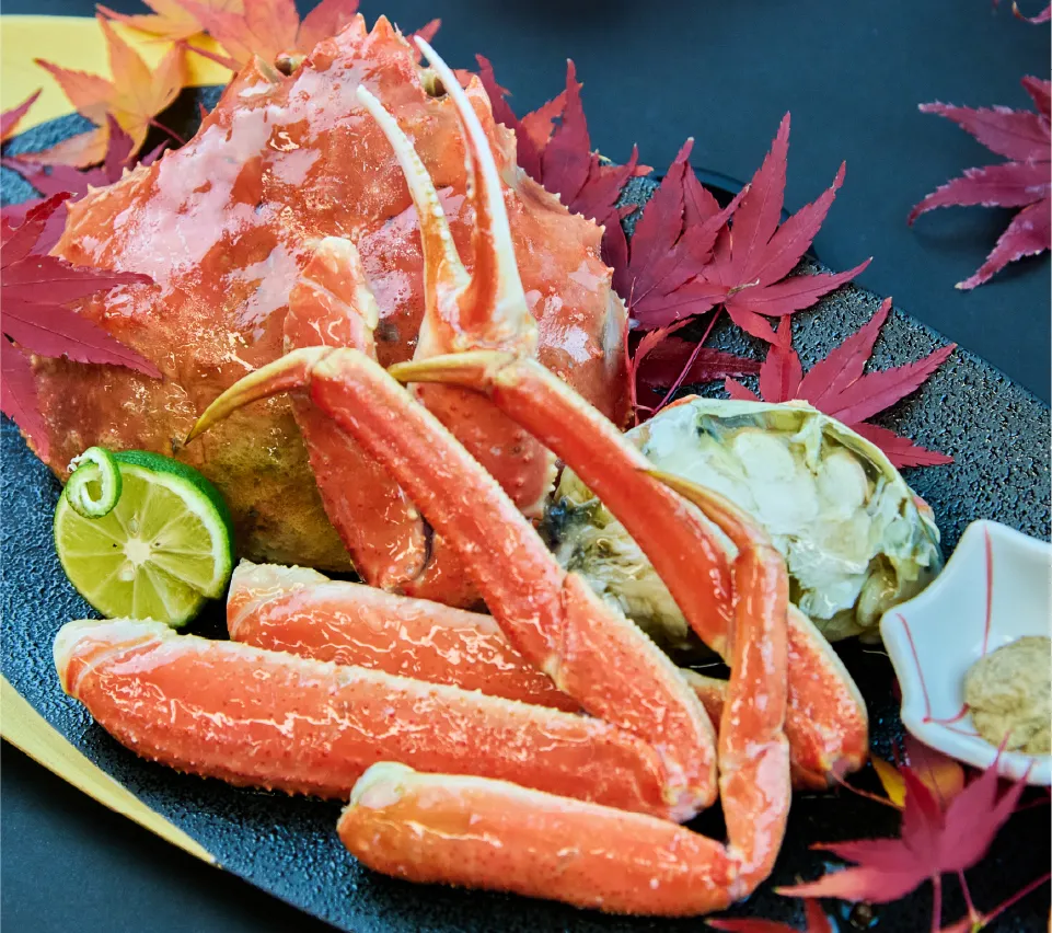 特別プランイメージ