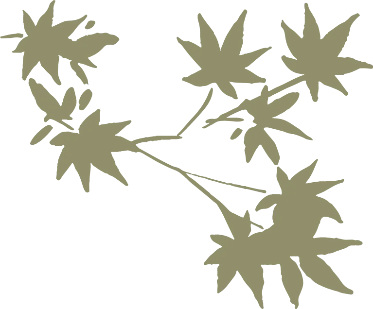 紅葉のイラスト