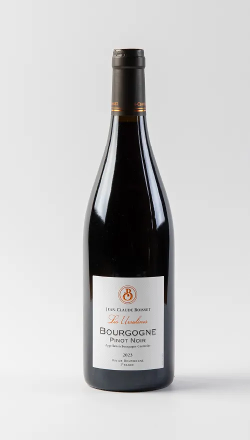 JCB ブルゴーニュピノ・<br>
ノワール（赤）